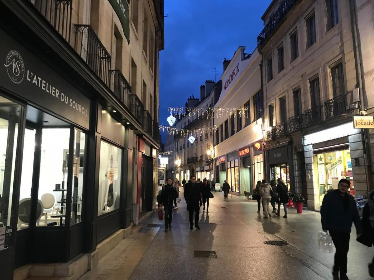 Calme En Hypercentre Dijon